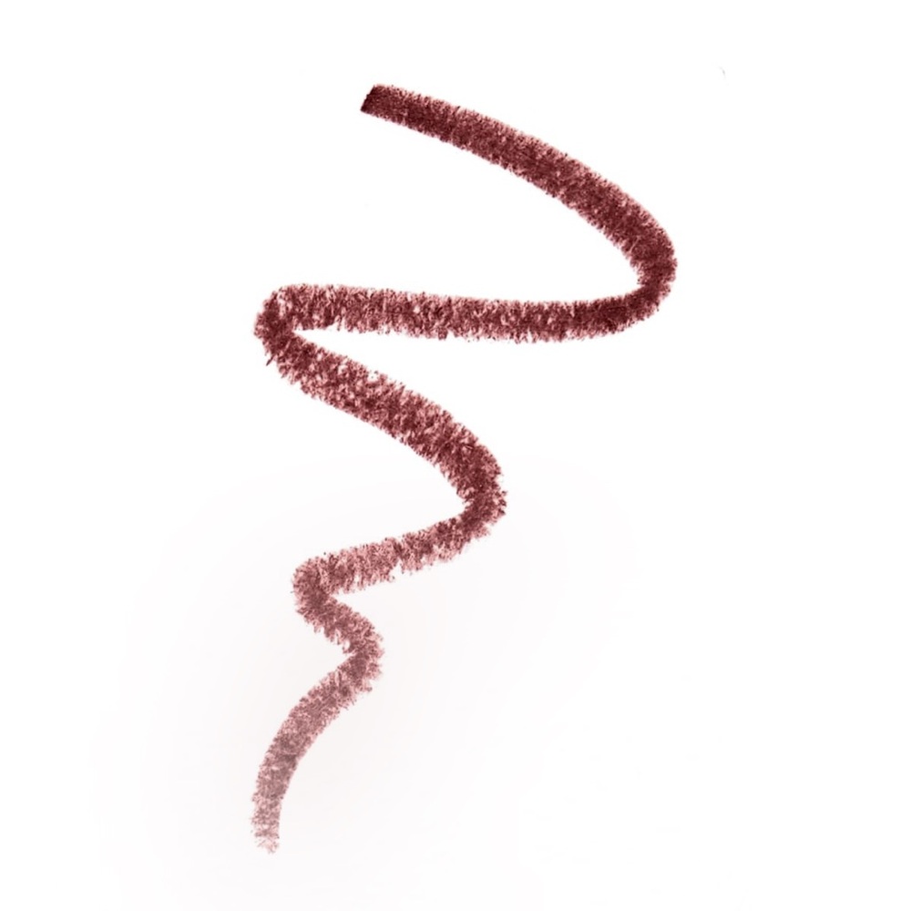 Pur On Point Lip Liner Shade Power Trip